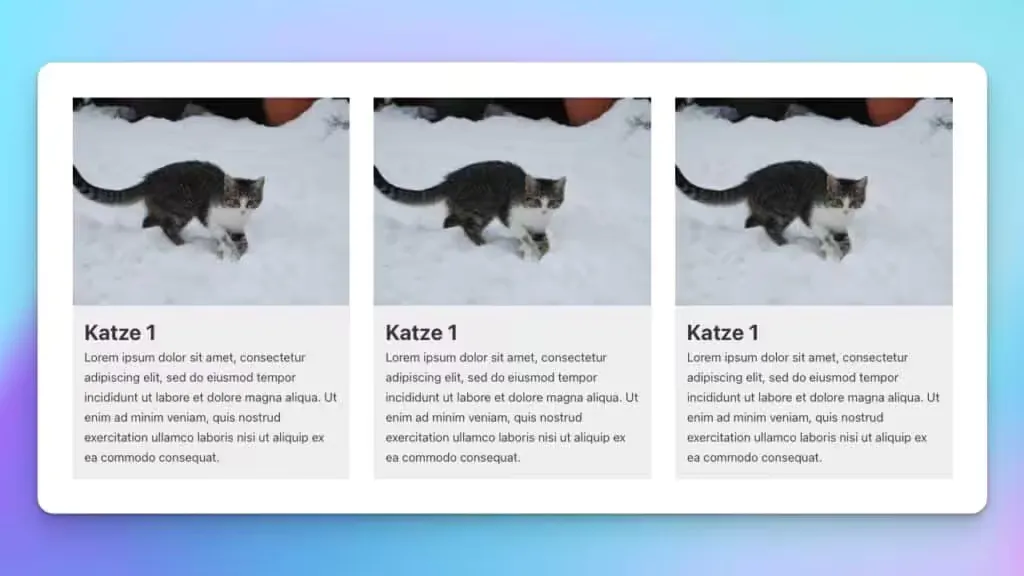 Katzenauflistung im Bricks PageBuilder