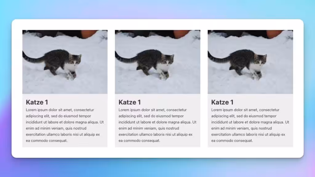 Katzenauflistung im Bricks PageBuilder