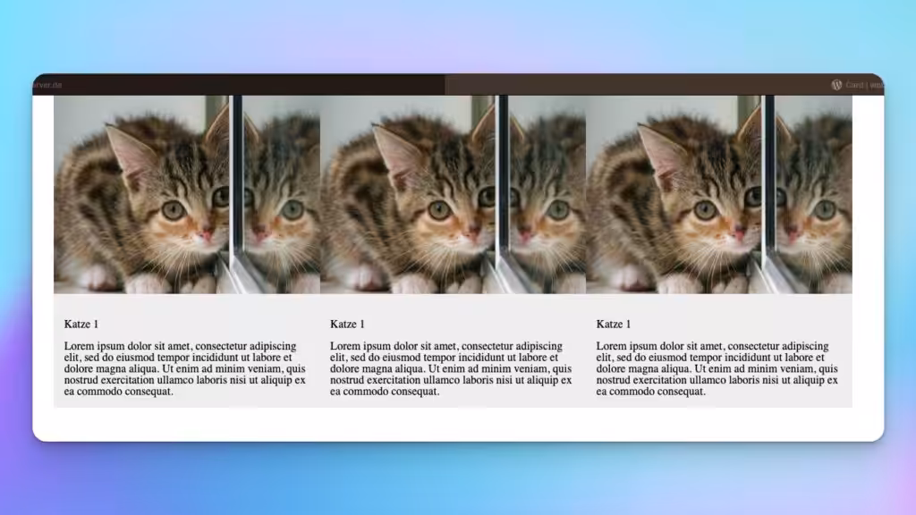 Katzenauflistung im WPBakery PageBuilder